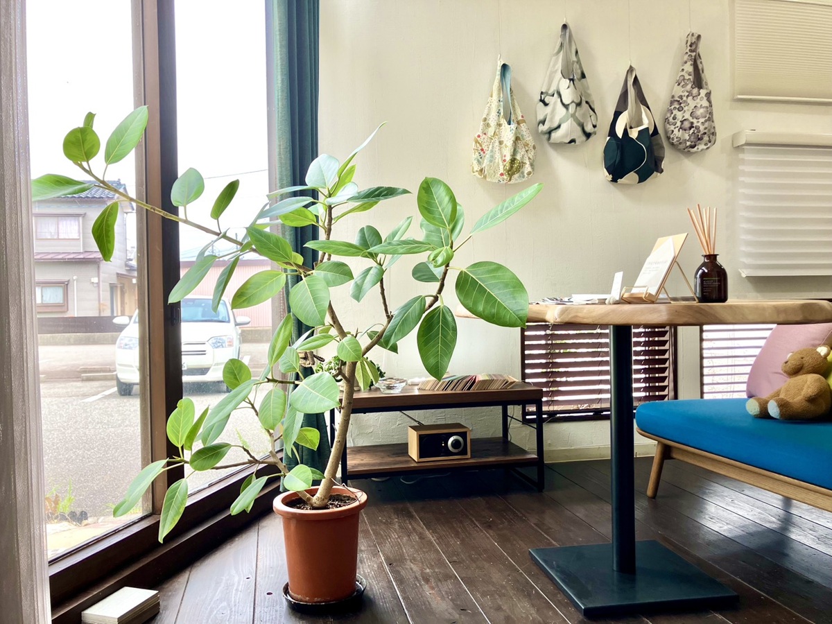 【スタッフブログ】 ”repos design” ルポ デザインと読みます!